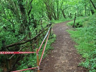 Trail della Diga, domenica 10 maggio la sfida tra sentieri e natura: oltre 250 iscritti
