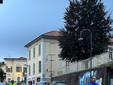 Pollone, 111 partecipanti per il Trofeo Jean Marc Mosca: il Biella Running si aggiudica la 25ª edizione