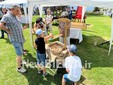 A Pettinengo l'arte della tosatura delle pecore a “(T)essere Insieme 2026” FOTO e VIDEO Massimo Giacobbe per newsbiella.it