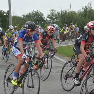 piatto trofeo squillario