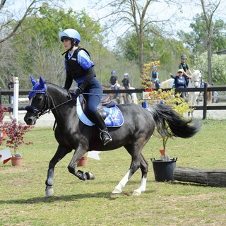 equitazione trofeo equitazione trofeo