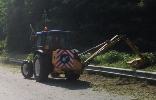 Valdilana, al via il taglio lungo i cigli sulle strade comunali: si parte il 3 giugno (foto di repertorio) Valdilana, al via il taglio lungo i cigli sulle strade comunali: si parte il 3 giugno (foto di repertorio)