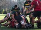 biella rugby