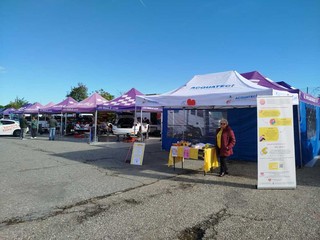 Rally Lana, Tasinato chiude 16° assoluto Rally Lana, Tasinato chiude 16° assoluto