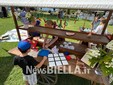 A Pettinengo l'arte della tosatura delle pecore a “(T)essere Insieme 2026” FOTO e VIDEO Massimo Giacobbe per newsbiella.it
