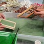 Trame di carta e acqua protagoniste a Biella