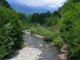 Lessona, interventi sul torrente Strona: approvato il progetto per la manutenzione della vegetazione Lessona, interventi sul torrente Strona: approvato il progetto per la manutenzione della vegetazione