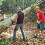 Trail della Diga, sfida tra sentieri e natura: oltre 250 iscritti