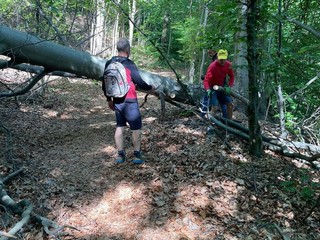 Trail della Diga, domenica 10 maggio la sfida tra sentieri e natura: oltre 250 iscritti