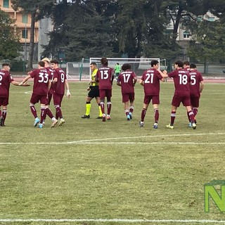 torino primavera