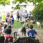 A Pettinengo l'arte della tosatura delle pecore a “(T)essere Insieme 2026” FOTO e VIDEO Massimo Giacobbe per newsbiella.it A Pettinengo l'arte della tosatura delle pecore a “(T)essere Insieme 2026” FOTO e VIDEO Massimo Giacobbe per newsbiella.it