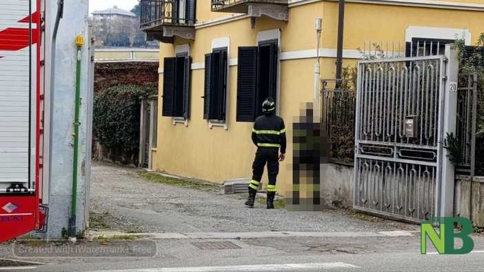 biella camion biella camion