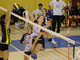 Sara Vineis Sara Vineis