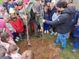 A Verrone si è festeggiata la Giornata Nazionale degli Alberi A Verrone si è festeggiata la Giornata Nazionale degli Alberi