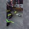 Un piccione con la maschera per l'ossigeno, il soccorso dei Vigili del Fuoco Un piccione con la maschera per l'ossigeno, il soccorso dei Vigili del Fuoco