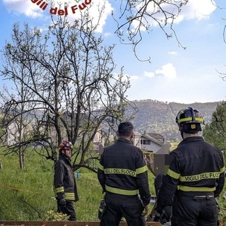 Dal Nord Ovest - Parapendista rimane incastrato su un albero, salvato nel Canavese