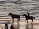 Paura per Belen Rodriguez, rovinosa caduta da cavallo sulla spiaggia
