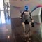 Forum Pa, ecco Ettore: il robot umanoide che fa la guida nei musei Forum Pa, ecco Ettore: il robot umanoide che fa la guida nei musei