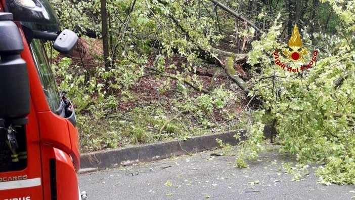Alberi a terra in Valsessera, palo pericolante a Occhieppo: mattinata di interventi per i Vigili del Fuoco (foto di repertorio)