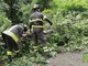 Forte vento sul Biellese, nuovi disagi: a terra piante a Miagliano e in Valsessera (foto di repertorio) Forte vento sul Biellese, nuovi disagi: a terra piante a Miagliano e in Valsessera (foto di repertorio)