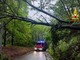Nuovi disagi per il maltempo tra alberi caduti e danni d’acqua: interventi a Biella, Sagliano Micca e Miagliano (foto di repertorio)