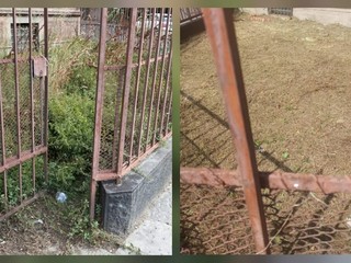 Gestione del verde a Biella, Seab: "Non era erba, era fieno" FOTO e VIDEO