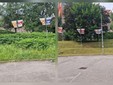 Gestione del verde a Biella, Seab: "Non era erba, era fieno" FOTO e VIDEO