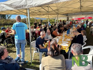 A Candelo è giornata di vendemmia tra sorridi e solidarietà FOTO Davide Finatti