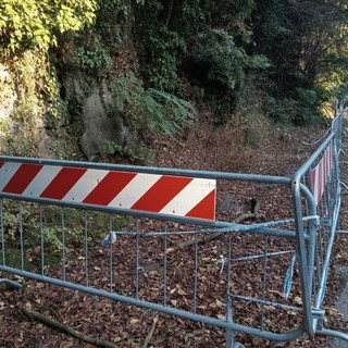 Via per Tollegno, masso e albero caduti, una lettrice: "Serve un intervento, sono passati 2 anni"