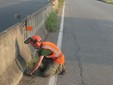 Gestione del verde a Biella, Seab: "Non era erba, era fieno" FOTO e VIDEO