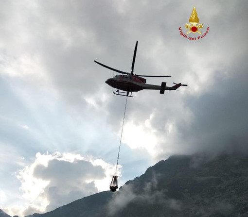 Mucca bloccata in zona impervia, operazione di recupero in alta Valsessera (foto di repertorio)