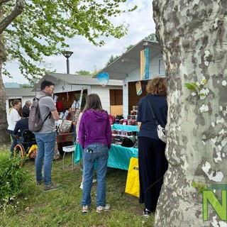 Arte e Artigianato sul Lago di Viverone FOTO Davide Finatti per newsbiella.it