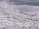 Il baby baywatch e il salvataggio eroico tra le onde del Pacifico