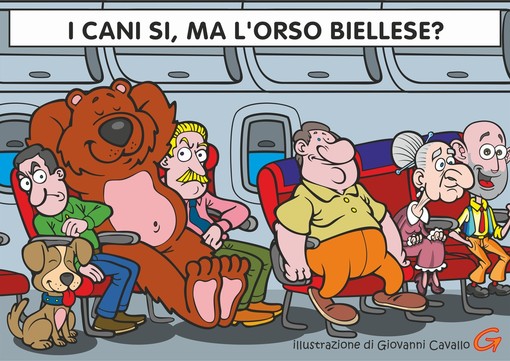 Voli, via libera ai cani in cabina: ci sarà posto per l'orso biellese?