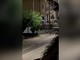 Assaltano un'armeria nel Cagliaritano, in un video le urla e gli spari nella notte