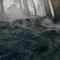 Monte Barone: il peggio è passato, ma l'incendio cela insidie Monte Barone: il peggio è passato, ma l'incendio cela insidie