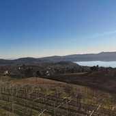 In cammino verso l'inclusione, conto alla rovescia per la passeggiata benefica di Viverone In cammino verso l'inclusione, conto alla rovescia per la passeggiata benefica di Viverone