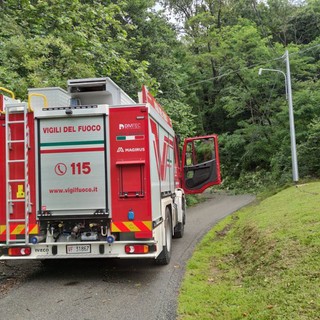 Raffiche di vento nel Biellese, piante a terra nella notte: oltre 15 interventi dei Vigili del Fuoco (foto di repertorio)