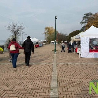 Tra le bancarelle al mercatino degli hobbisti a Viverone FOTO e VIDEO foto Davide Finatti per newsbiella.it