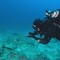 Clima, mare caldo fino a 40 metri di profondità Clima, mare caldo fino a 40 metri di profondità