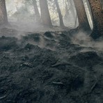 Monte Barone: il peggio è passato, ma l'incendio cela insidie Monte Barone: il peggio è passato, ma l'incendio cela insidie