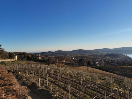 Viverone, ripartono le iscrizioni per l'anno scolastico 2026/27 Viverone, ripartono le iscrizioni per l'anno scolastico 2026/27