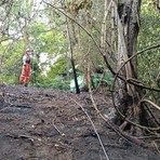 Biella, incendio di sottobosco tra Pavignano, Vaglio e Colma Biella, incendio di sottobosco tra Pavignano, Vaglio e Colma