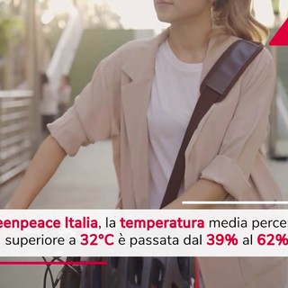 Sempre più giorni con caldo estremo, l'allarme di Greenpeace Sempre più giorni con caldo estremo, l'allarme di Greenpeace