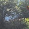 Incendio in alta Valsesia: continua il dispositivo di soccorso coordinato dai Vigili del Fuoco Incendio in alta Valsesia: continua il dispositivo di soccorso coordinato dai Vigili del Fuoco