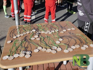 Miagliano corre insieme: 104enne e 92enne emozionano al Villa Poma Trail FOTO Davide Finatti per newsbiella.it