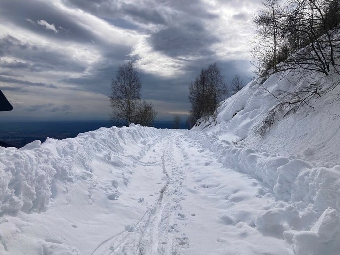 Frana sulla Panoramica Zegna: chiusa la SP 232 dal lato Valdilana