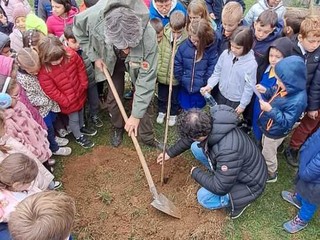 A Verrone si è festeggiata la Giornata Nazionale degli Alberi A Verrone si è festeggiata la Giornata Nazionale degli Alberi