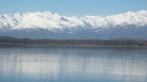 Il Lago di Viverone, foto Atl