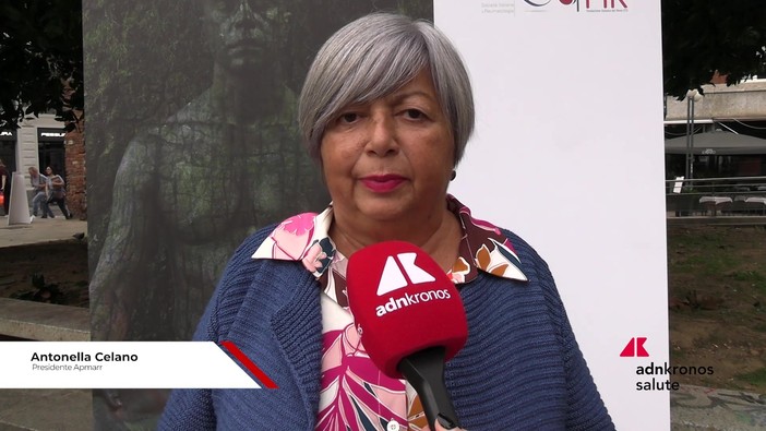 Salute, Celano (Apmarr): "Associazioni facilitano riconoscimento malattia IgG4-correlata" Salute, Celano (Apmarr): "Associazioni facilitano riconoscimento malattia IgG4-correlata"